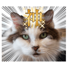 [LINEスタンプ] なぎちゃんと愉快な仲間たち