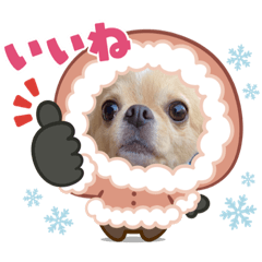 [LINEスタンプ] とらとらとらまるこ②