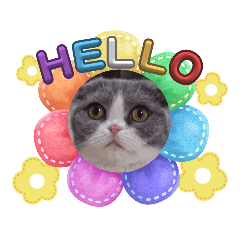 [LINEスタンプ] まりぃスタンプ