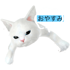 [LINEスタンプ] どっ物