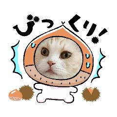 [LINEスタンプ] ラガマフィンの風太くん その2