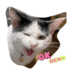[LINEスタンプ] ファンキーはちくん
