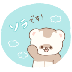 [LINEスタンプ] フェレットのソラくん