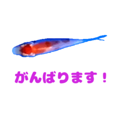 [LINEスタンプ] ニシキゴイスタンプ