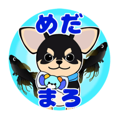 [LINEスタンプ] めだまろ <FAMILY.ties.M>