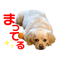 [LINEスタンプ] ボクふうた・3才（改訂版）