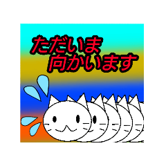 [LINEスタンプ] 低予算 敬語の猫スタンプ