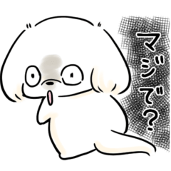 [LINEスタンプ] ペキニーズのお姫さまのイラストスタンプ