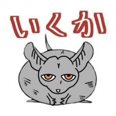 [LINEスタンプ] ペットショップきんきらのチンチラ