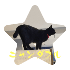 [LINEスタンプ] QUEUE猫たくさん第2弾