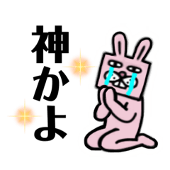 [LINEスタンプ] ブサうさぎ⭐︎日常使い⑤