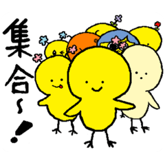 [LINEスタンプ] ピヨころちゃんと仲間達が大集合