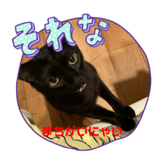 [LINEスタンプ] らんまかくろてと 5