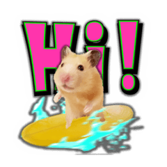 [LINEスタンプ] HamPacino（ハムパチーノ） 3