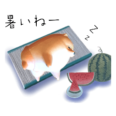 [LINEスタンプ] 最高に可愛い犬ポメラニアン（日常·四季）