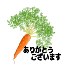 [LINEスタンプ] 小腸揉みTERRAの感謝の野菜スタンプ