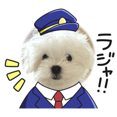 [LINEスタンプ] 白いもこもこ犬ぺぺまるスタンプ