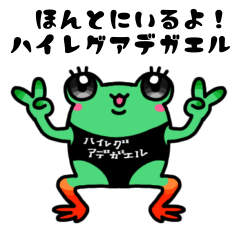 [LINEスタンプ] ハイレグアデガエルのスタンプ