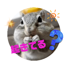 [LINEスタンプ] みんなと一緒 25