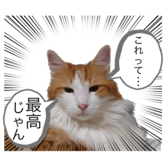 [LINEスタンプ] しっぽ（ぽちゃ）