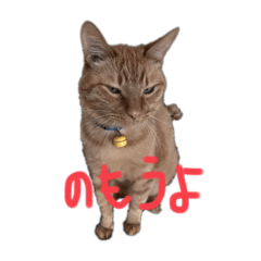 [LINEスタンプ] ささみ可愛いスタンプ2