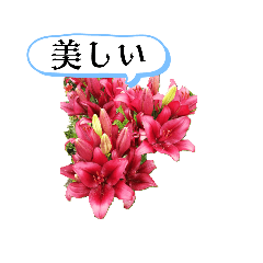 [LINEスタンプ] ゆりの花