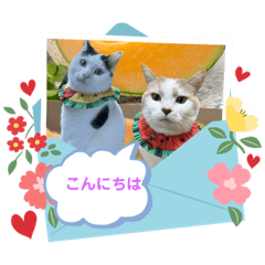 [LINEスタンプ] えっちゃん＆みるくの画像（メイン）