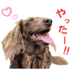 [LINEスタンプ] ククルとルーク3