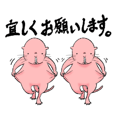 [LINEスタンプ] きもかわハダカデバネズミ