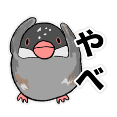 [LINEスタンプ] へんな文鳥スタンプ