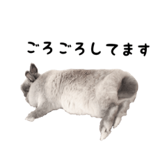 [LINEスタンプ] ミトンのごろごろスタンプ♩