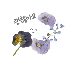 [LINEスタンプ] よく使う韓国語 押花ハングルスタンプ