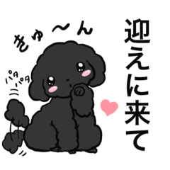 [LINEスタンプ] 黒ぷぅスタンプ