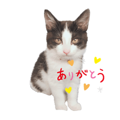 [LINEスタンプ] RIRI＆RON⑨