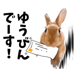 [LINEスタンプ] おてんば娘のハピたんスタンプ②