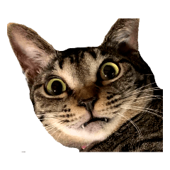 [LINEスタンプ] フリー素材化してしまったしお