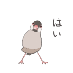 [LINEスタンプ] 文鳥かわいいね