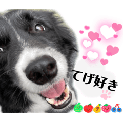 [LINEスタンプ] ボーダーコリーの林檎なのは2