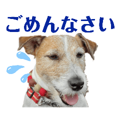 [LINEスタンプ] ガツジピ