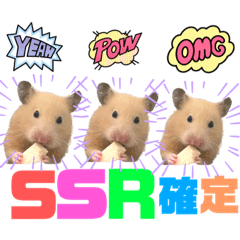 [LINEスタンプ] 使いやすいハムスターのスタンプ