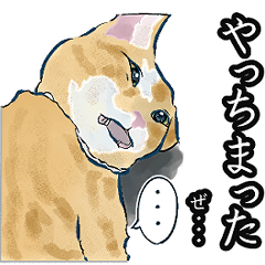 [LINEスタンプ] かわいくてごめん♡なねこにゃんず③