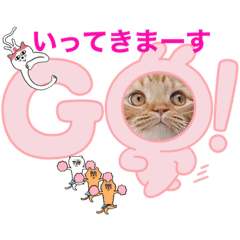 [LINEスタンプ] スコのジョニーちゃん♡デカ文字③