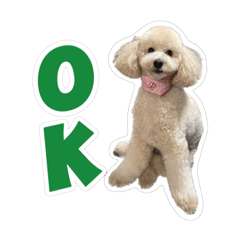 [LINEスタンプ] やまとだよ〜