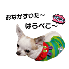 [LINEスタンプ] 幸太郎(コタロー)スタンプ part6