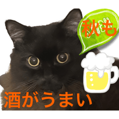 [LINEスタンプ] 黒猫 ルナ院長103にゃんめ 秋編