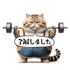 [LINEスタンプ] キレ良く動くダイエット猫？！時々サボる…