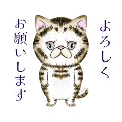 [LINEスタンプ] 毎日使える！ねこにゃんとフクロウスタンプ