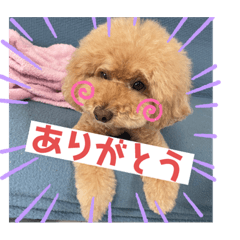 [LINEスタンプ] のあとAlohaの日常スタンプ.