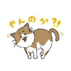 [LINEスタンプ] ぽっちゃり猫とツンデレ猫2