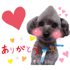 [LINEスタンプ] チャー太スタンプ！